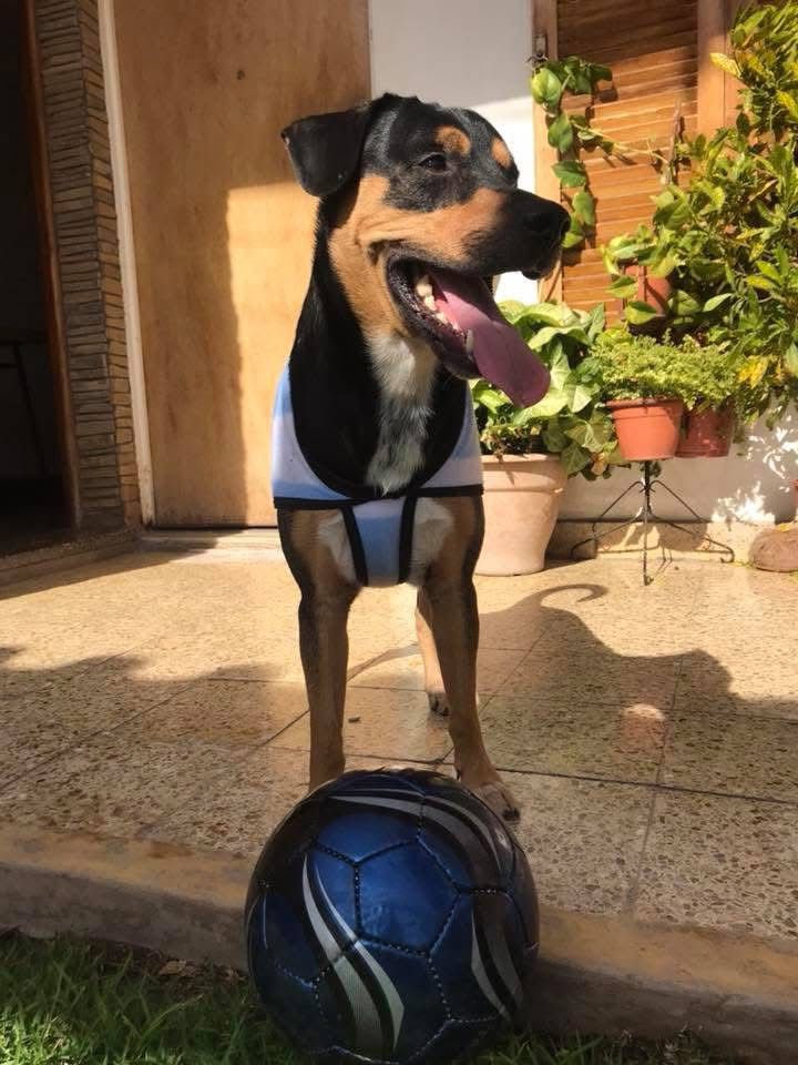 Imagen de publicación